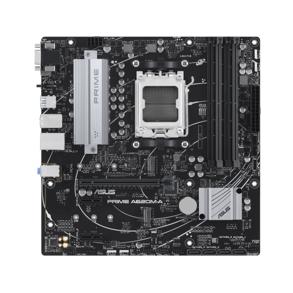 ASUS PRIME A620M-A-CSM AMD A620 Presa di corrente AM5 micro ATX
