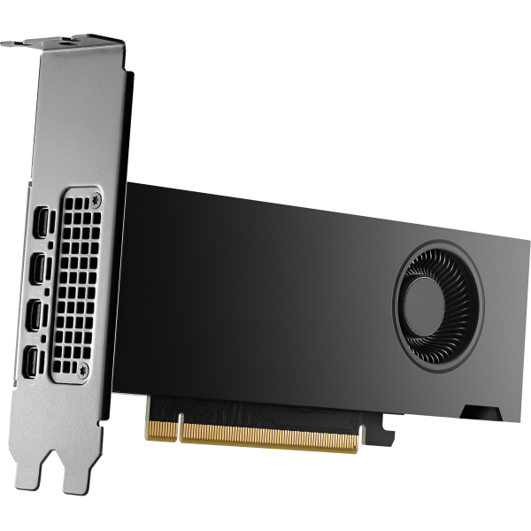 HP NVIDIA RTX PH x2xxx 4mDP Graphics