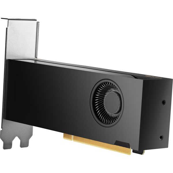 HP NVIDIA RTX PH x2xxx 4mDP Graphics