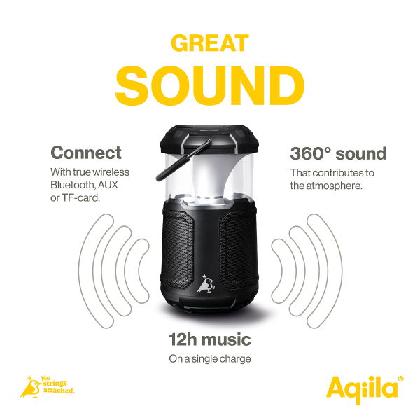 Aqiila 406038 altoparlante portatile e per feste Altoparlante portatile stereo Nero 20 W