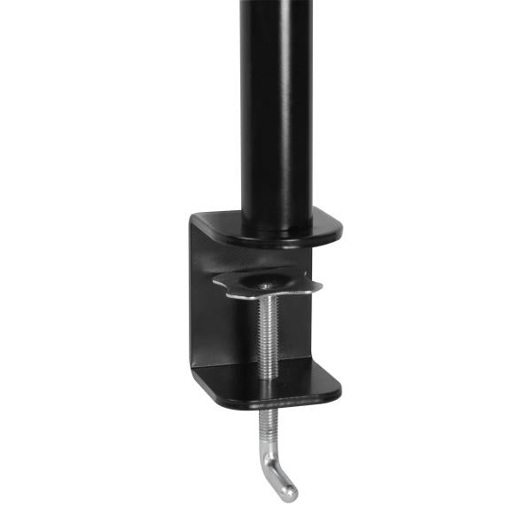 ARCTIC Z1 Basic 81,3 cm (32") Morsa Nero