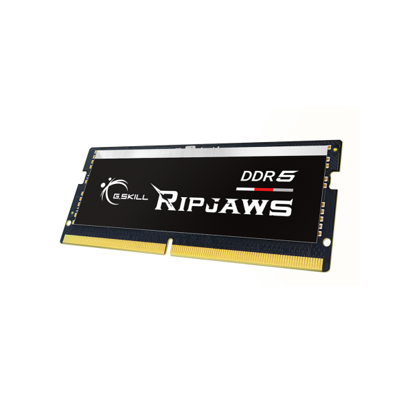G.Skill Ripjaws F5-4800S4039A16GX1-RS memoria 16 GB 1 x 16 GB DDR5 4800 MHz