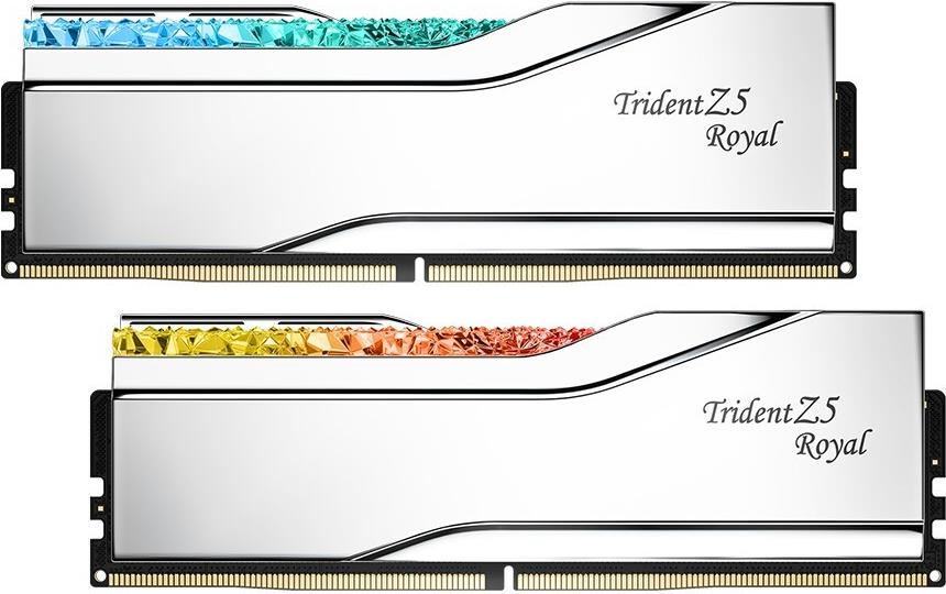 G.Skill DIMM 32 GB DDR5-6400 (2x 16 GB) Dual-Kit (silber, F5-6400J3039G16GX2-TR5NS, Trident Z5 Royal Neo, AMD EXPO) (F5-6400J3039G16GX2-TR5NS)