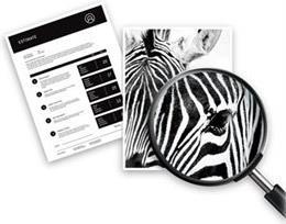 HP 953 - 4er-Pack - Schwarz, Gelb, Cyan, Magenta - Original - Tintenpatrone - fr Officejet Pro 7740, 8210, 8216, 8218, 8710, 8715, 8720, 8725, 8730, 8740 (6ZC69AE#301)