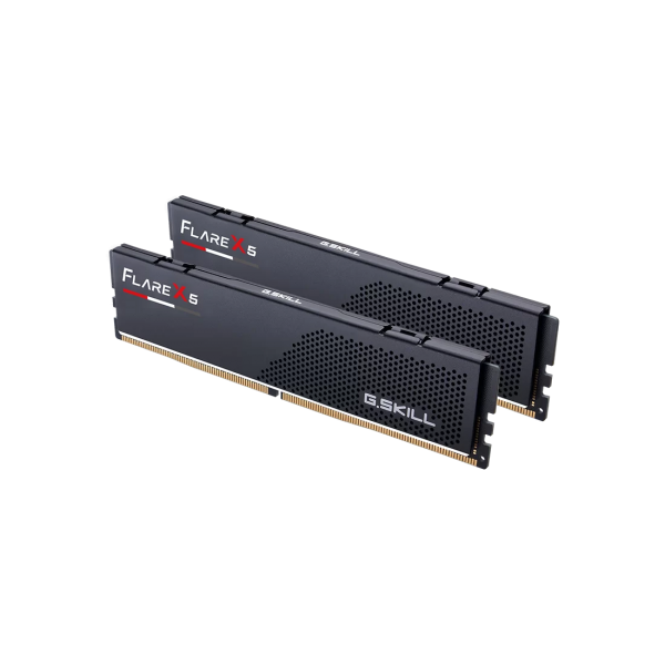 G.Skill Flare X5 F5-6000J3038F16GX2-FX5 memoria 32 GB 2 x 16 GB DDR5 (G.Skill DDR5 RAM 32GB [2x16GB Dual-Kit] PC6000 CL32 32FX5 Flare X5 black [AMD optimiert])