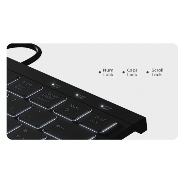 KeySonic KSK-5011ELC (DE) tastiera USB QWERTZ Tedesco Nero