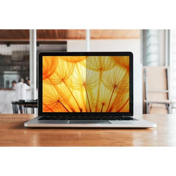 3M BP130C3E schermo anti-riflesso Filtro per la privacy senza bordi per display 33 cm (13")