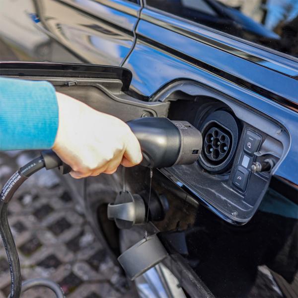 InLine 16277I non classificato