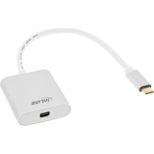 InLine Convertitore Video USB Type-C maschio a Mini DP femmina, silver, 0,2 m
