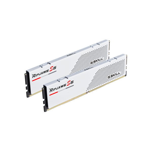 G.Skill Ripjaws S5 memoria 32 GB 2 x 16 GB DDR5 5600 MHz (G.Skill Ripjaws S5 - 32GB: 2x16GB - DD)