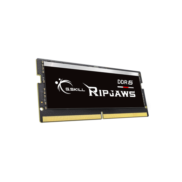 G.Skill Ripjaws F5-4800S4039A16GX1-RS memoria 16 GB 1 x 16 GB DDR5 4800 MHz