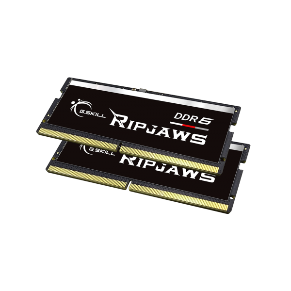 G.Skill Ripjaws F5-4800S3838A32GX2-RS memoria 64 GB 2 x 32 GB DDR5 4800 MHz