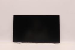 15.6-inch WXGA HD LCD LED - display - Warranty: 3M